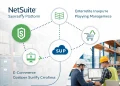 NetSuite and the Robust Integrator by Wee Bee Global — Enterprise ERP Power for Growing Ecommerce Businesses