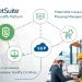 NetSuite and the Robust Integrator by Wee Bee Global — Enterprise ERP Power for Growing Ecommerce Businesses